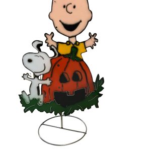 Charlie & snoopy halloween