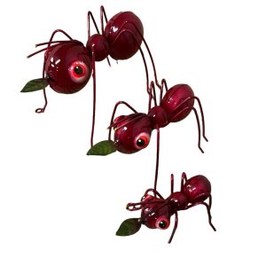 Plasma ant set