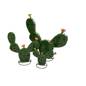 Cactus with flowers