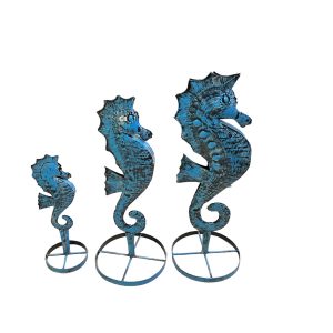 Seahorses