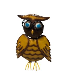 Glasses owl