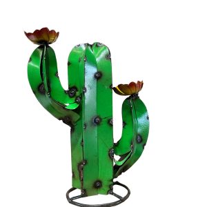 mini cactus
