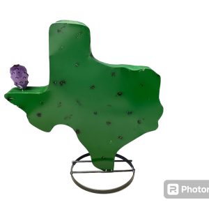 texas cactus