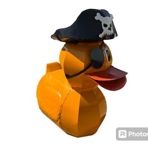 4ft pirate duck