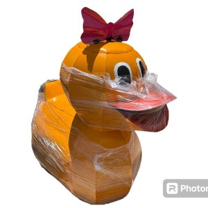 4ft bow duck