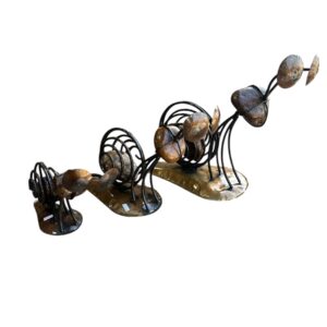 rock snail