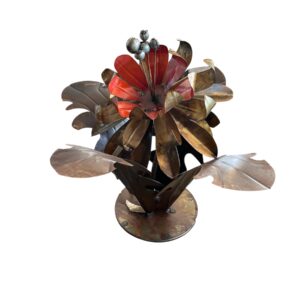 aquatic plant