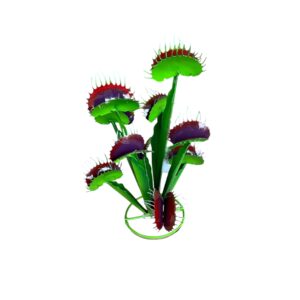 sm venus flytrap