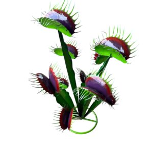 lg venus flytrap